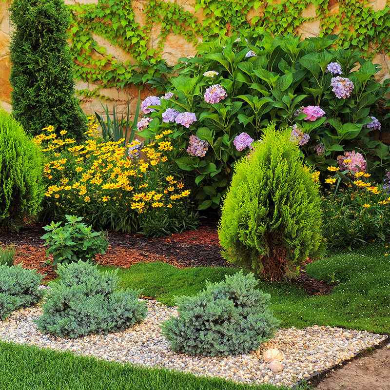 https://www.redgardenconsulting.it/wp-content/uploads/2019/09/card_07.jpg