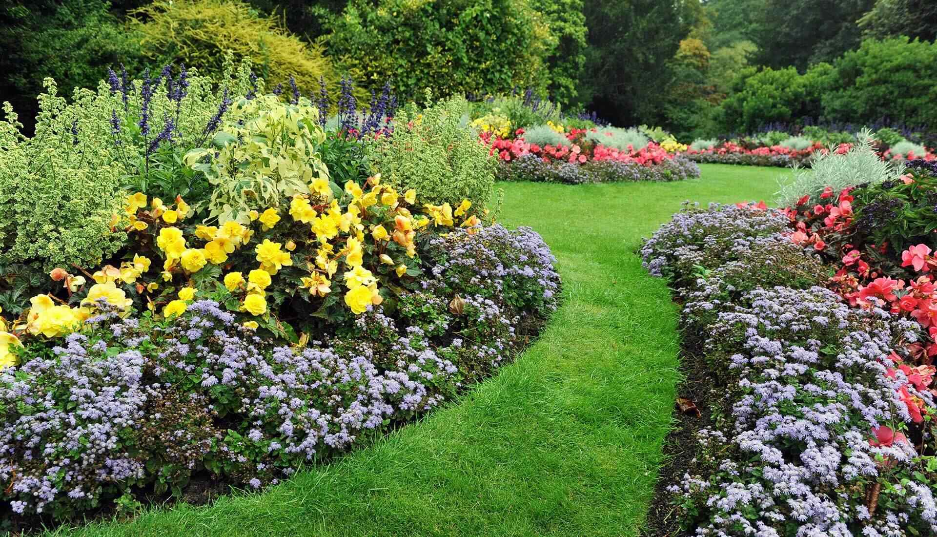 https://www.redgardenconsulting.it/wp-content/uploads/2019/10/slider_02.jpg