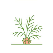https://www.redgardenconsulting.it/wp-content/uploads/2025/01/card_03.jpg