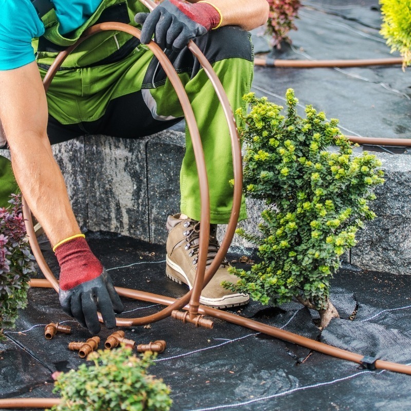 https://www.redgardenconsulting.it/wp-content/uploads/2025/02/water1.jpg